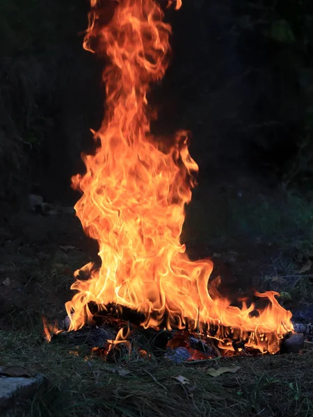 Orman Yangını Parlak Alev Ateş Kuru Sezonunda — Stok fotoğraf