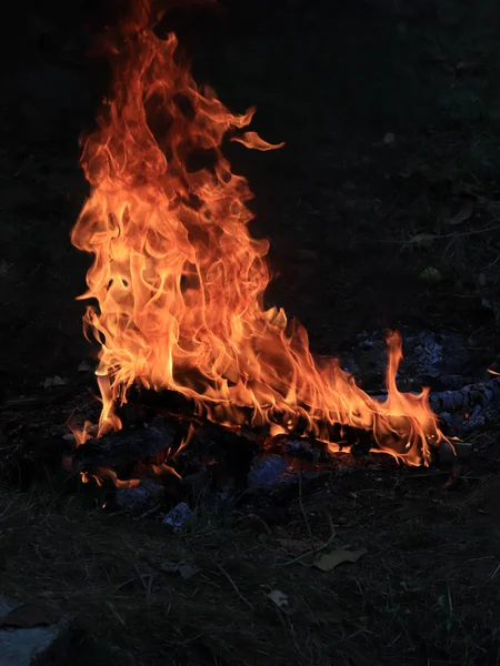 Wildfire Világos Láng Tűz Száraz Évszakban — Stock Fotó