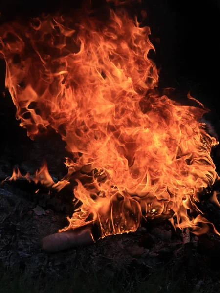 orman yangını ve parlak alev ateş Kuru sezonunda