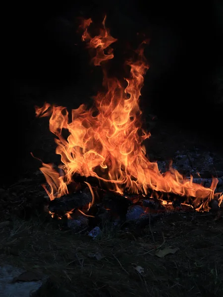 Felle Vlam Van Wildvuur Brand Tijdens Het Droge Seizoen — Stockfoto