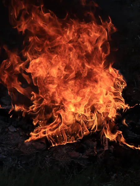 Helle Flamme Des Flächenfeuers Während Der Trockenzeit — Stockfoto