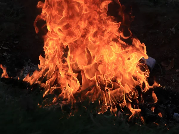 Ljusa Lågan Wildfire Eld Den Torra Säsongen — Stockfoto