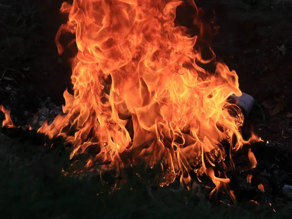 Felle Vlam Van Wildvuur Brand Tijdens Het Droge Seizoen — Stockfoto