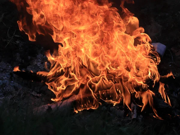 Wildfire Világos Láng Tűz Száraz Évszakban — Stock Fotó