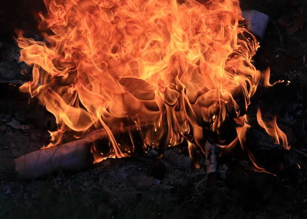 Flamme Vive Feu Forêt Pendant Saison Sèche — Photo