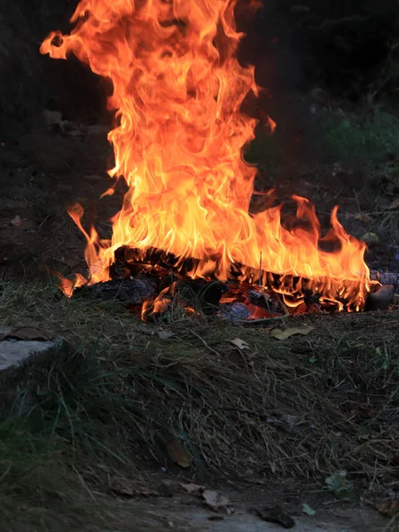 Felle Vlam Van Wildvuur Brand Tijdens Het Droge Seizoen — Stockfoto