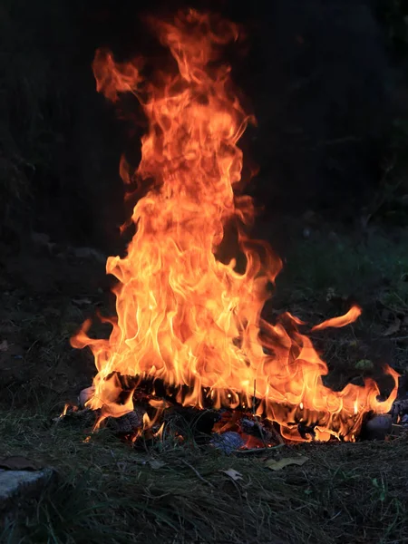 Felle Vlam Van Wildvuur Brand Tijdens Het Droge Seizoen — Stockfoto