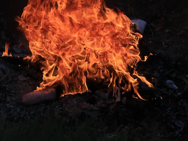 Felle Vlam Van Wildvuur Brand Tijdens Het Droge Seizoen — Stockfoto