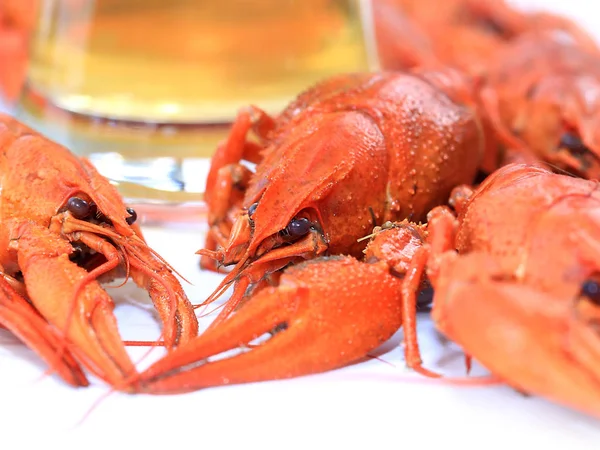 Vers Gekookte Rivierkreeft Als Tussendoortje Bier — Stockfoto