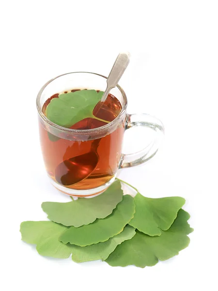 Kräftiger Frischer Grüner Kräutertee Und Ginkgo Biloba Blätter Auf Dem — Stockfoto