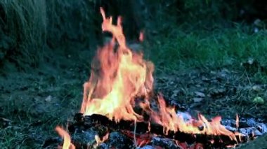 parlak ateş ve alev kömür vahşi üzerinde