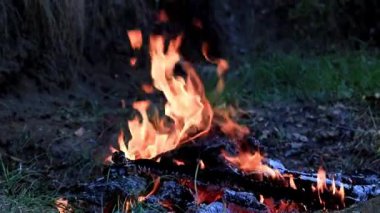 parlak ateş ve alev kömür vahşi üzerinde