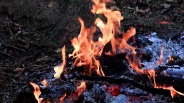 parlak ateş ve alev kömür vahşi üzerinde
