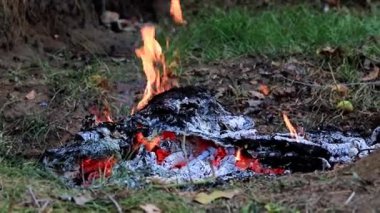 parlak ateş ve alev kömür vahşi üzerinde