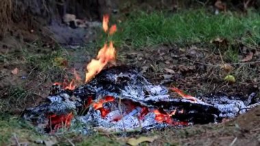 parlak ateş ve alev kömür vahşi üzerinde