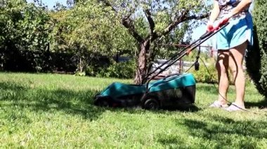 bir çim Bahçe çim biçme makinesi üzerinden taze ot biçme