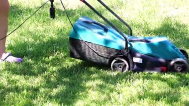 bir çim Bahçe çim biçme makinesi üzerinden taze ot biçme