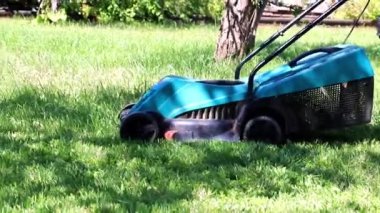 bir çim Bahçe çim biçme makinesi üzerinden taze ot biçme