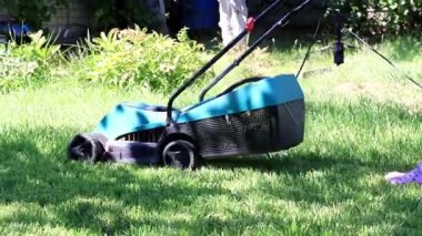 bir çim Bahçe çim biçme makinesi üzerinden taze ot biçme