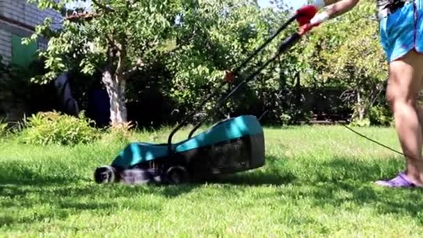 Bir Çim Bahçe Çim Biçme Makinesi Üzerinden Taze Biçme — Stok video