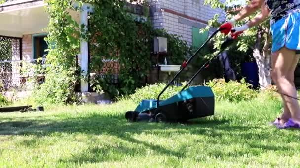 Bir Çim Bahçe Çim Biçme Makinesi Üzerinden Taze Biçme — Stok video