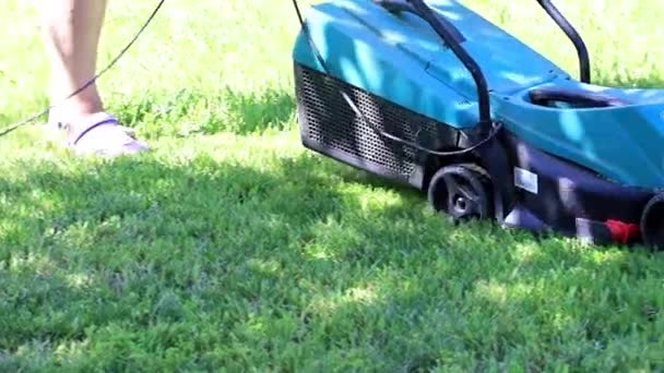 Tondre Herbe Fraîche Une Tondeuse Gazon Jardin — Video