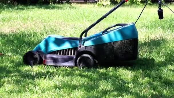 Tondre Herbe Fraîche Une Tondeuse Gazon Jardin — Video