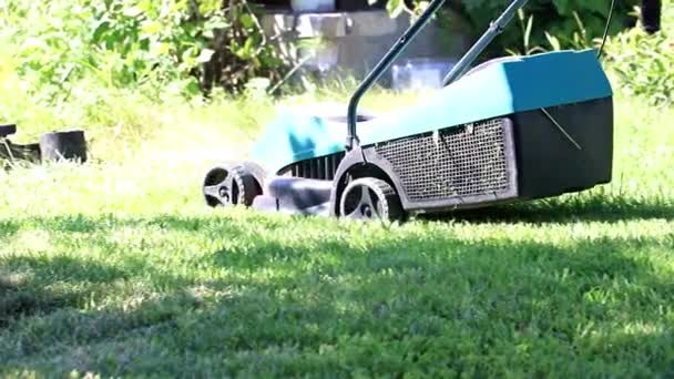 Mowing Fresh Grass Lawn Garden Lawnmower — Stock Video