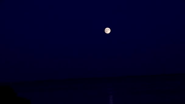 Lua Cheia Céu Noite Sobre Reflexo Luz Água — Vídeo de Stock