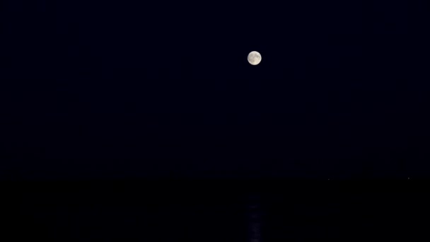 Lua Cheia Céu Noite Sobre Reflexo Luz Água — Vídeo de Stock
