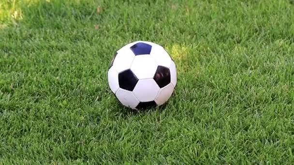 Lovely Soccer Ball Green Grass Lawn Playing Field — Stock Video