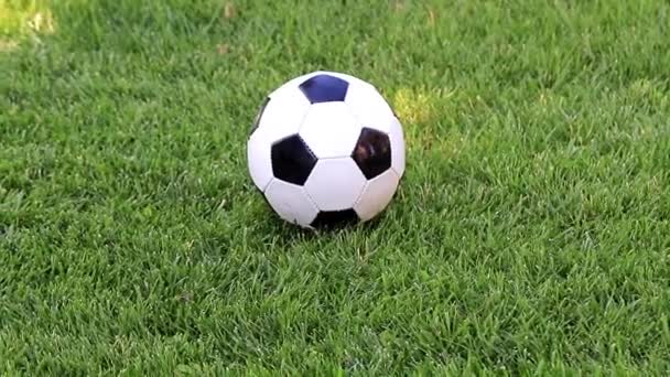 Lovely Soccer Ball Green Grass Lawn Playing Field — Stock Video