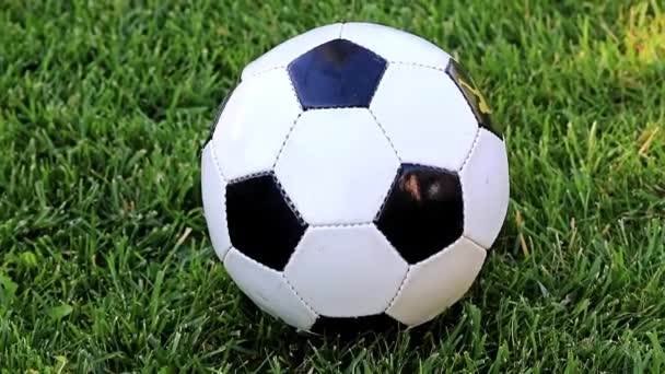 Schöner Fußball Auf Dem Grünen Rasen Eines Rasenspielfeldes — Stockvideo