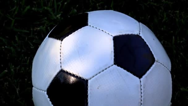 Beau Ballon Football Sur Herbe Verte Terrain Jeu Pelouse — Video