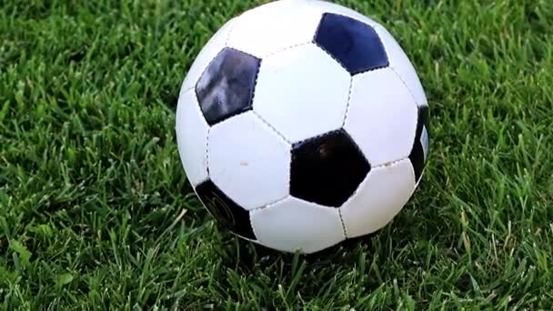 Lovely Soccer Ball Green Grass Lawn Playing Field — Stock Video