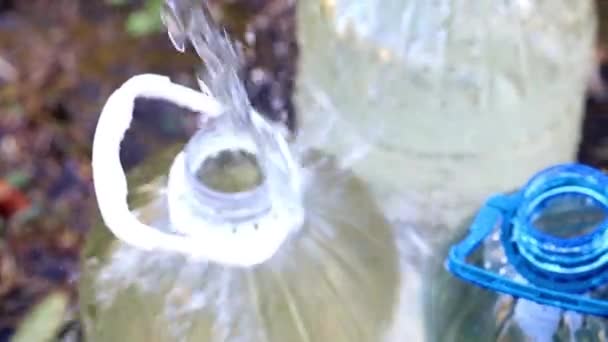 Llenado Botellas Plástico Con Agua Potable Limpia Una Manguera Goma — Vídeo de stock