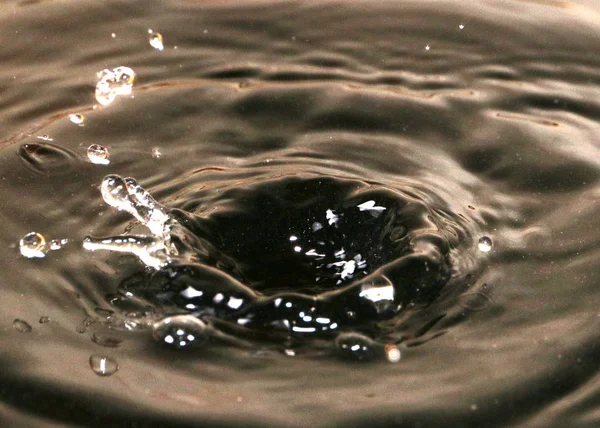 drops of oil create fancy patterns on the surface of the liquid