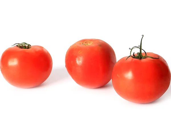 식품의 성분으로 토마토 — 스톡 사진