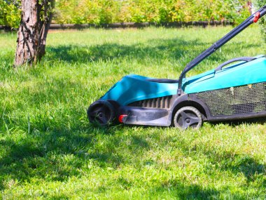 bir çayır bir çim biçme makinesi ile sulu yeşil çim biçme