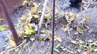 Eski Kuru Bahçe yerden bırakır