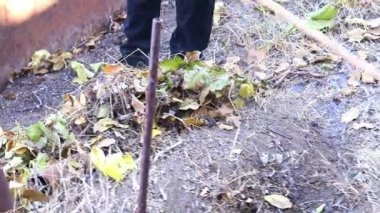 Eski Kuru Bahçe yerden bırakır