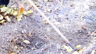 Eski Kuru Bahçe yerden bırakır