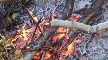 alevler ve yangın şenlik bir doğal afet olarak