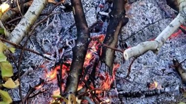 alevler ve yangın şenlik bir doğal afet olarak