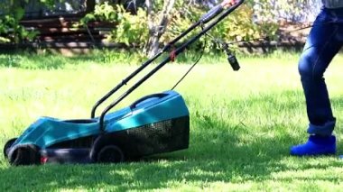 özel bir çim biçme makinesi ile yeşil çim biçme