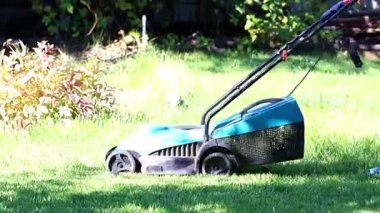 özel bir çim biçme makinesi ile yeşil çim biçme