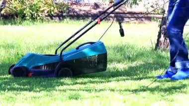 özel bir çim biçme makinesi ile yeşil çim biçme
