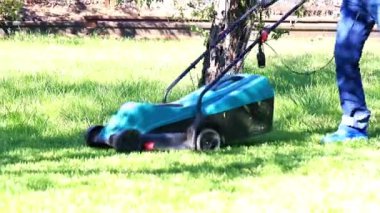 özel bir çim biçme makinesi ile yeşil çim biçme
