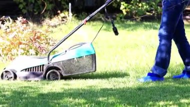 özel bir çim biçme makinesi ile yeşil çim biçme