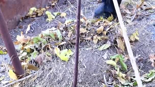 从地面上的旧的干叶园艺 — 图库视频影像